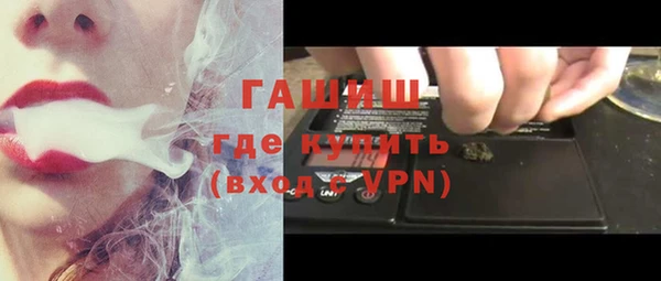 гидра Богородицк