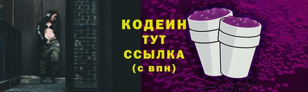 гидра Богородицк