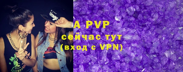 ешки Белокуриха