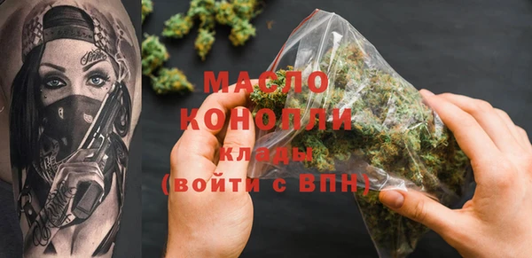 гидра Богородицк