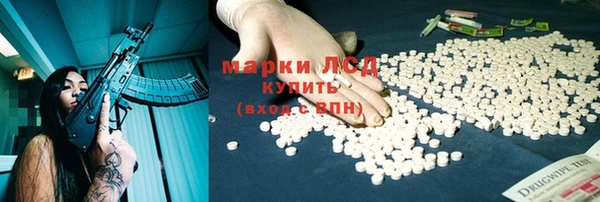 ГАЛЛЮЦИНОГЕННЫЕ ГРИБЫ Богданович