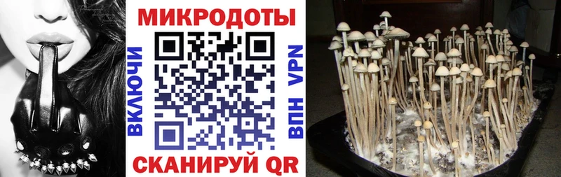 Галлюциногенные грибы Psilocybine cubensis  наркошоп  KRAKEN сайт  Большой Камень 